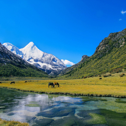 shutterstock_940.jpg